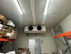CT FoodCHAIN (D5), Factory #459631321